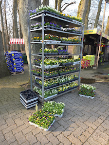 Blumen Ludwig Frucht - Blumencenter