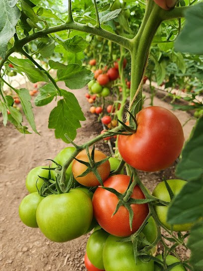 Gartencenter