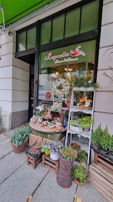 Magnolia Blumen & Präsente