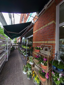 Blumenzauber by Peikert