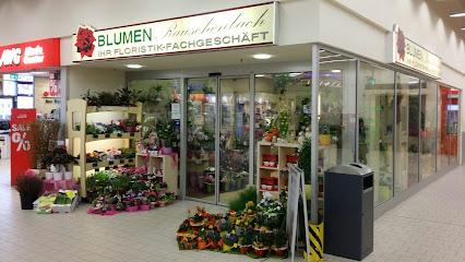 Blumen Rauschenbach