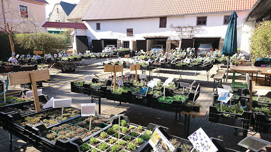Gärtnerei Kohler