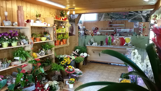 Gärtnerei, Floristk und Dienstleistungen Memmler
