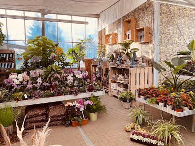 Flora Plus Zehma