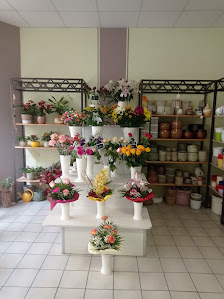 Steffis Blumenparadies - Inh.: Ingrid Borchert