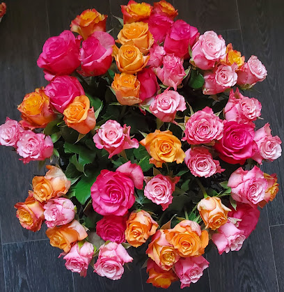 Floribunda GmbH