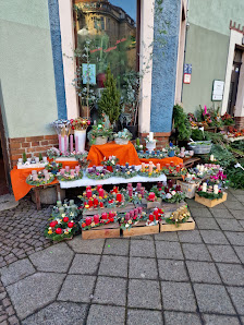 Blumenhaus Orchidee