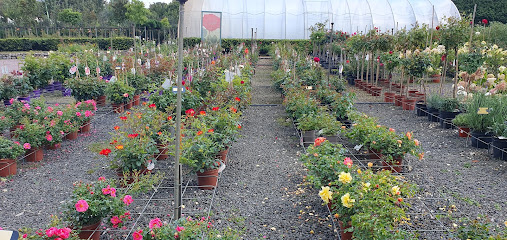 Blumengeschäft