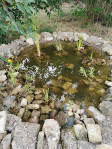 Wasserpflanzengärtnerei Krause