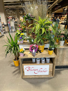 Blumen Fischer