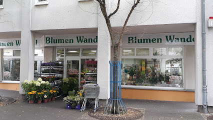 Blumen Wandel