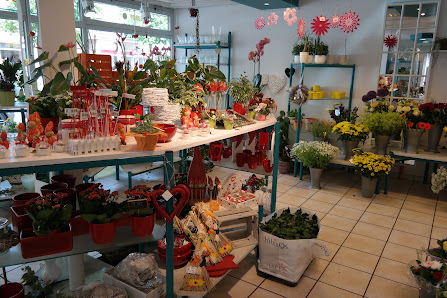 Blumen Franck Inh. S. Munkelt