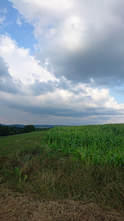 Gärtnerei Hartung Dermbach