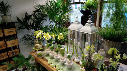 Blumen mit Stil