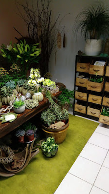 Blumen mit Stil