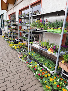 Blumengeschäft Angela Liebscher in Sachswitz
