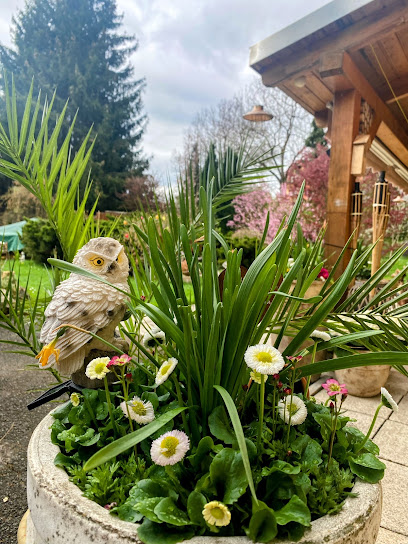 Blumen Für Jeden Anlass