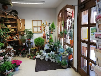 Blumenboutique Hartmann Egon