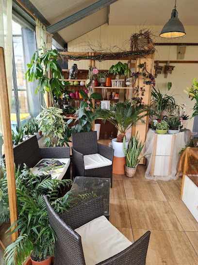 Blumenwerkstatt Marienthal, Gärtnerei Möller