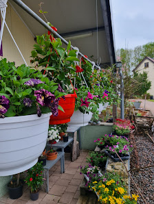 Blumenwerkstatt Marienthal, Gärtnerei Möller