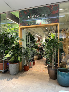 Die Palme Berlin