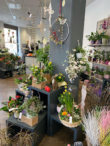 Blumen Edelweiß