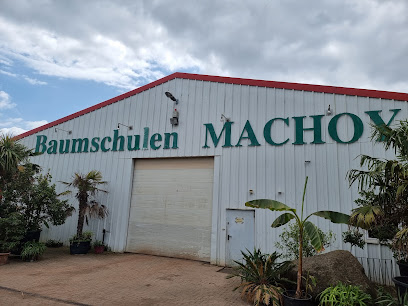 Baumschule