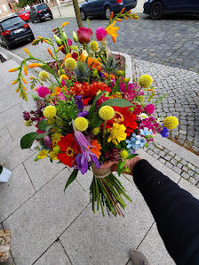 Blattgeflüster Anette Heinz