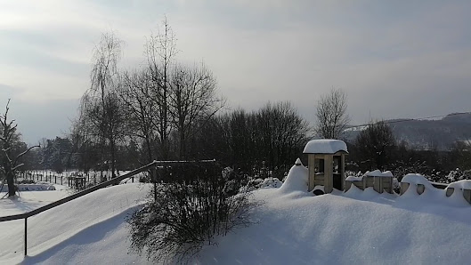 BOOCK GARTENKULTUR - Gärtnerei Boock