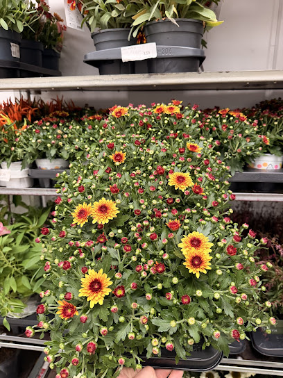 Blumen-Großhändler