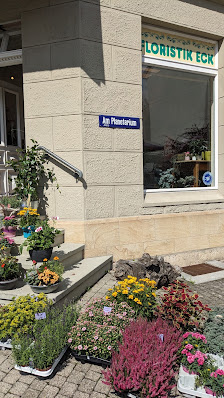 Floristik-Eck