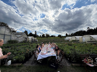 Gartenbau und Blumengeschäft Paul Panzer
