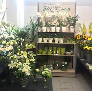 Blumen Edelweiß Leipzig Löwencenter