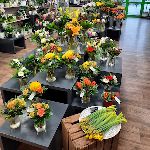 Blumen Edelweiß Jena-Isserstedt Globus