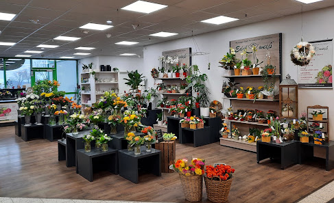 Blumen Edelweiß Jena-Isserstedt Globus
