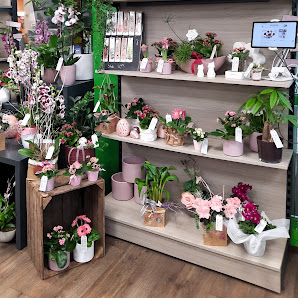 Blumen Edelweiß Jena-Isserstedt Globus