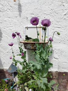 Von Herzen...Blumen, Dekoration und Geschenke