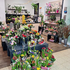Blumen Edelweiß Arnstadt