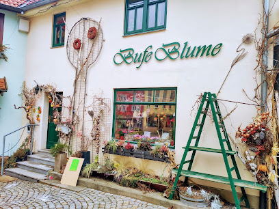 Bufe Blume