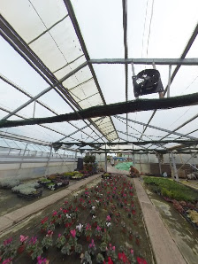 Blumenfachgeschäft & Gartenbau Schumann