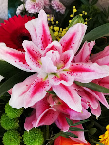 Blumenfachgeschäft & Gartenbau Schumann