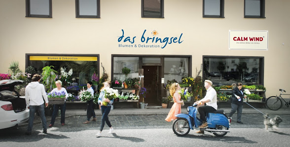 das bringsel