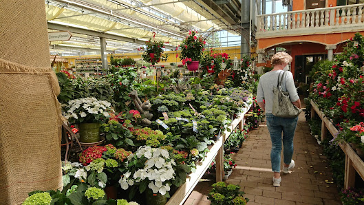 Gartencenter Meckelburg