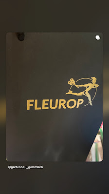 GARTENBAU GOMMLICH Fleurop Sterne-Florist in Zerbst ️ Ihre regionale Gärtnerei Grabpflege-u.Gestaltung Floristik