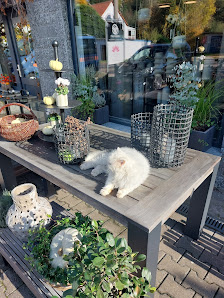 Blütezeit – Blumenladen Bad Salzungen