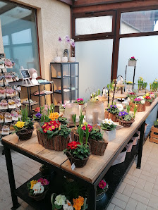 Blüten & Mehr