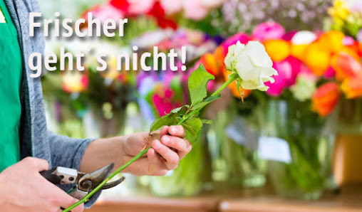 Blumenversand-Edelweiss.de