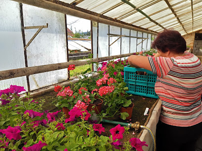 Blumenmarkt in Laucha an der Unstrut