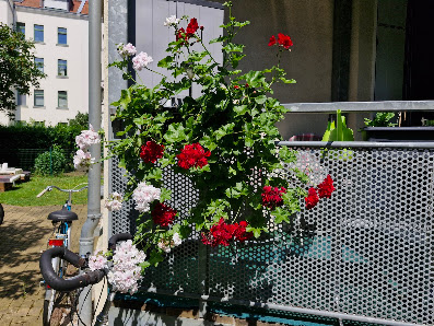 Gärtnerei Hoffmann