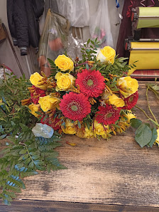 Piet Meinen Blumenshop (van der Lem GmbH)